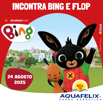 INCONTRA BING E FLOP